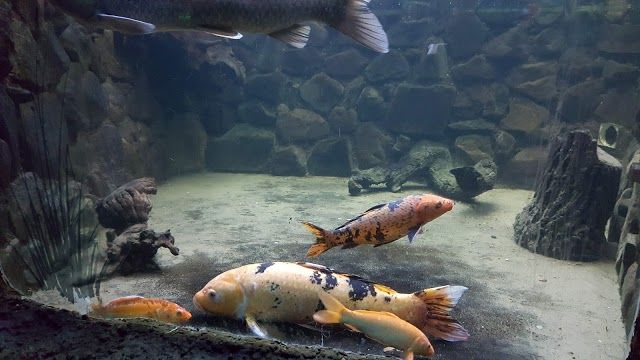 Acuario Municipal